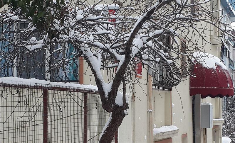 Payidar Hotel Isztambul Kültér fotó
